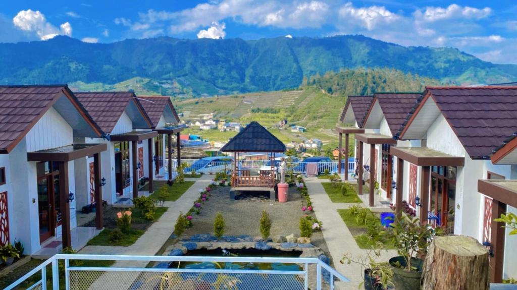 Background Home Stay Dieng