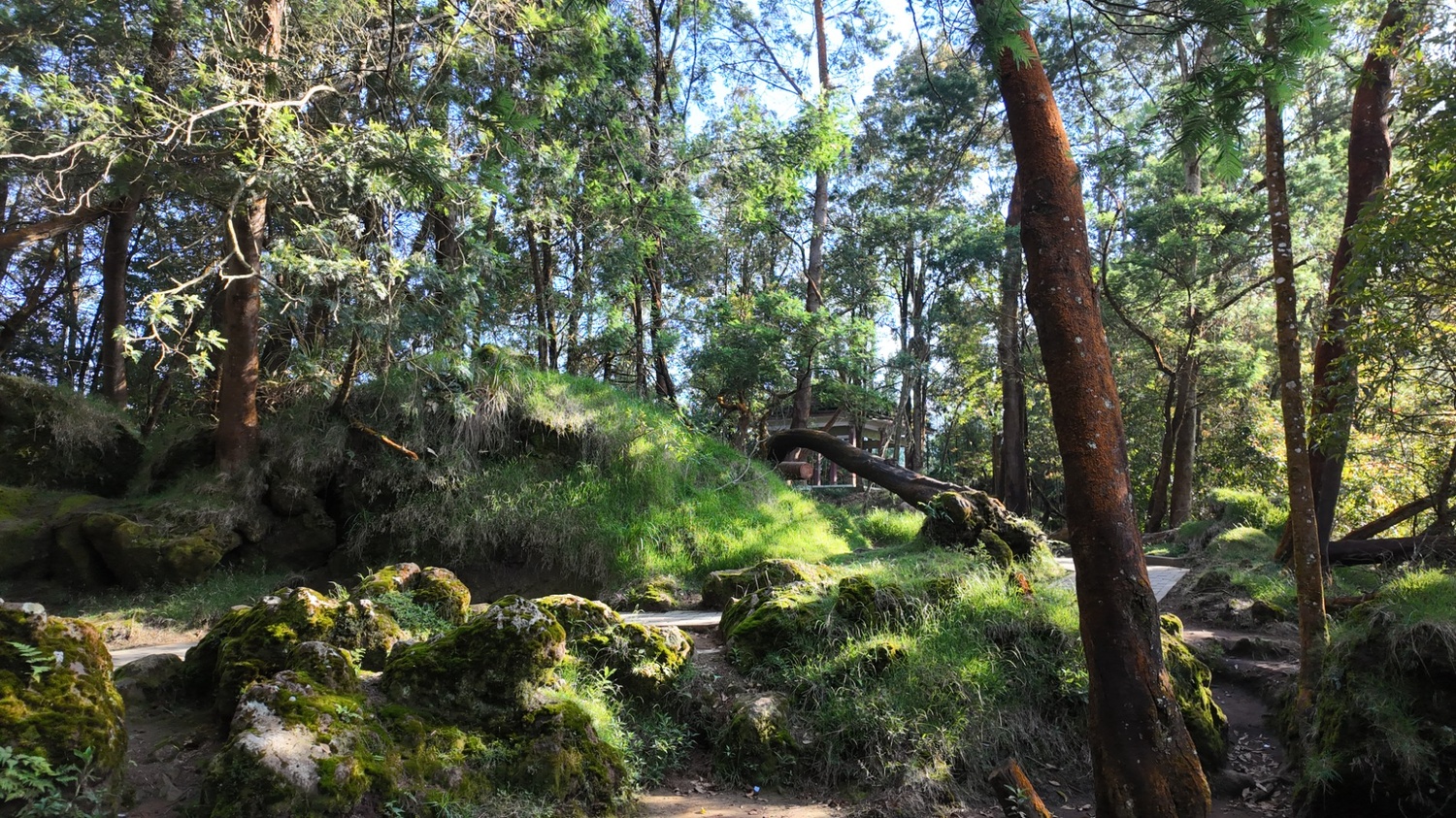Gallery Telaga warna