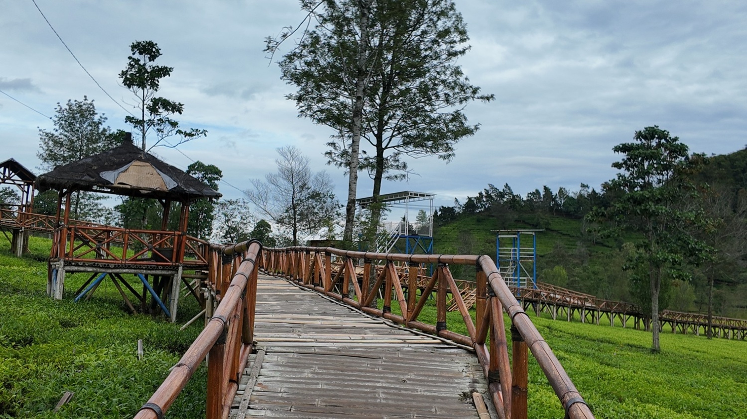 Gallery Kebun teh sikatok