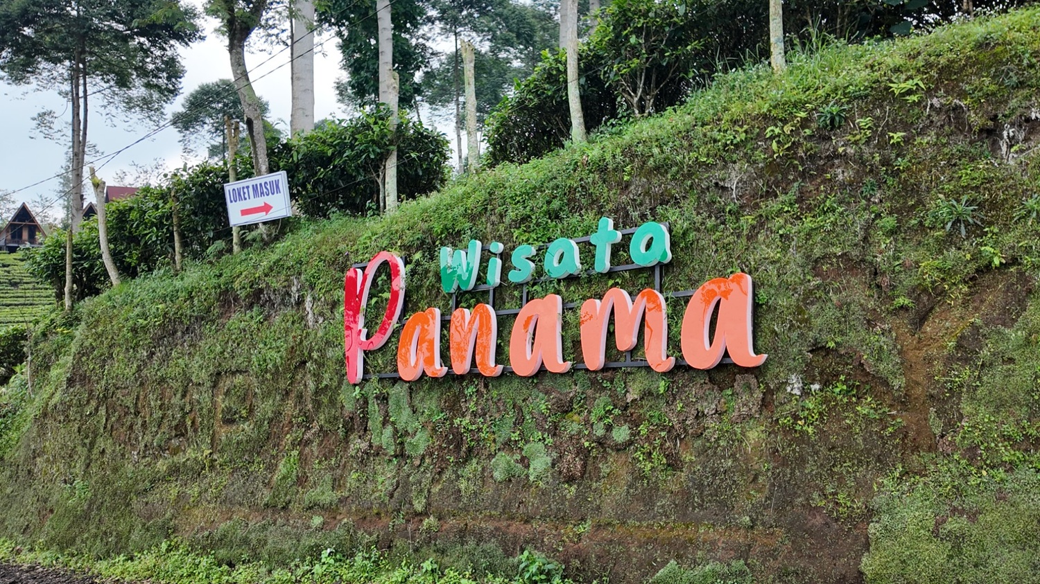 Gallery Kebun teh panama