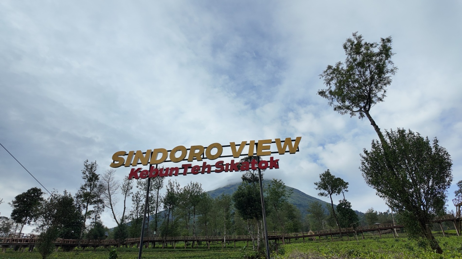 Gallery Kebun teh sikatok